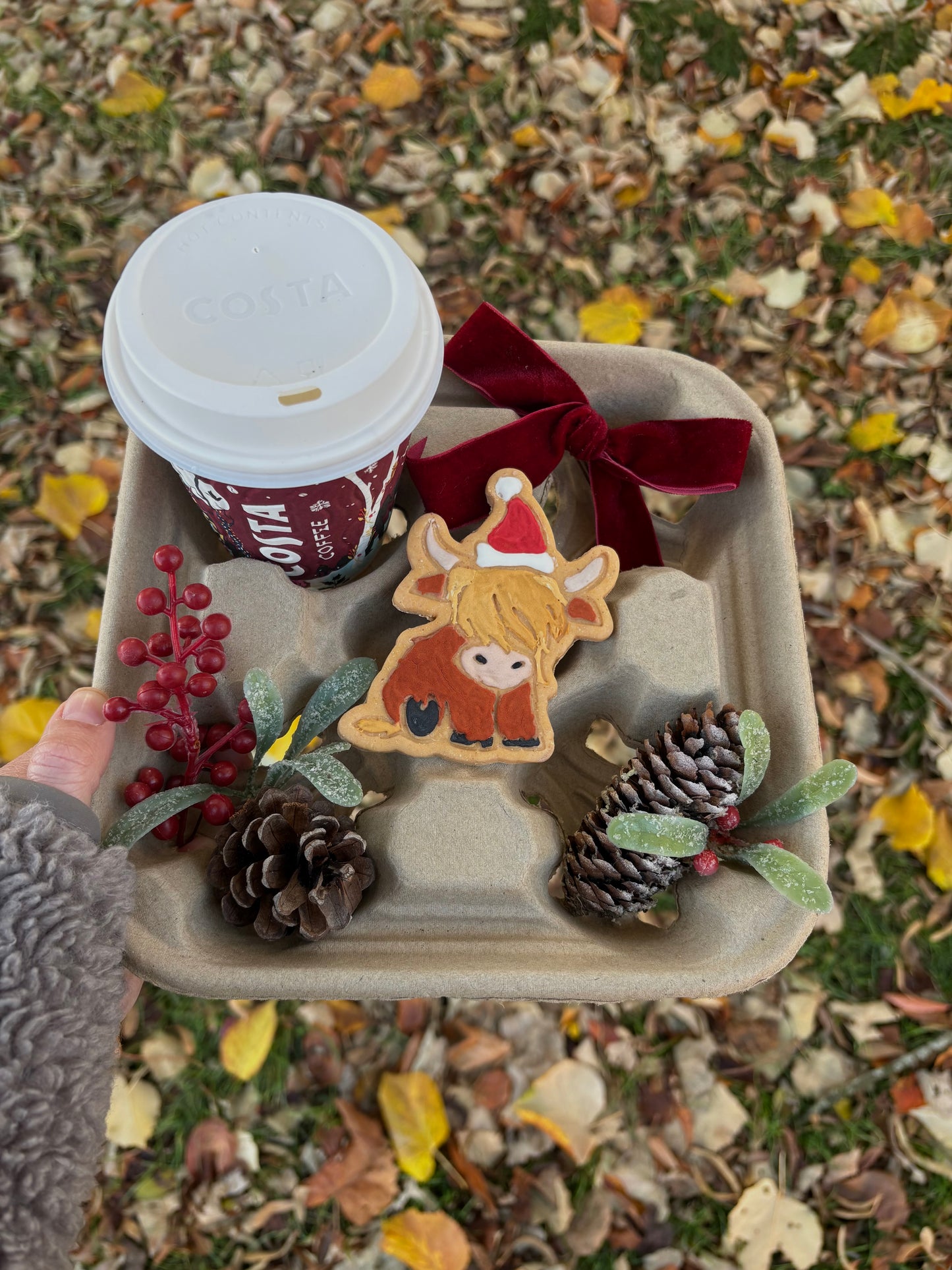 Hamish The Highland Cow