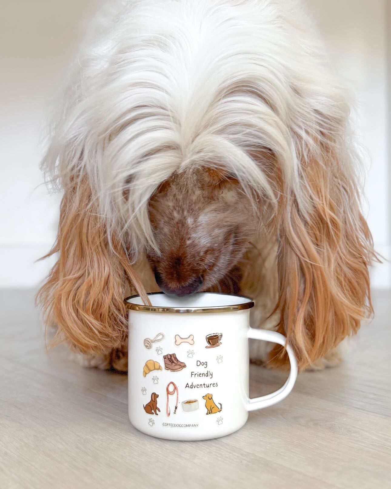 Dog Friendly Adventure Cup