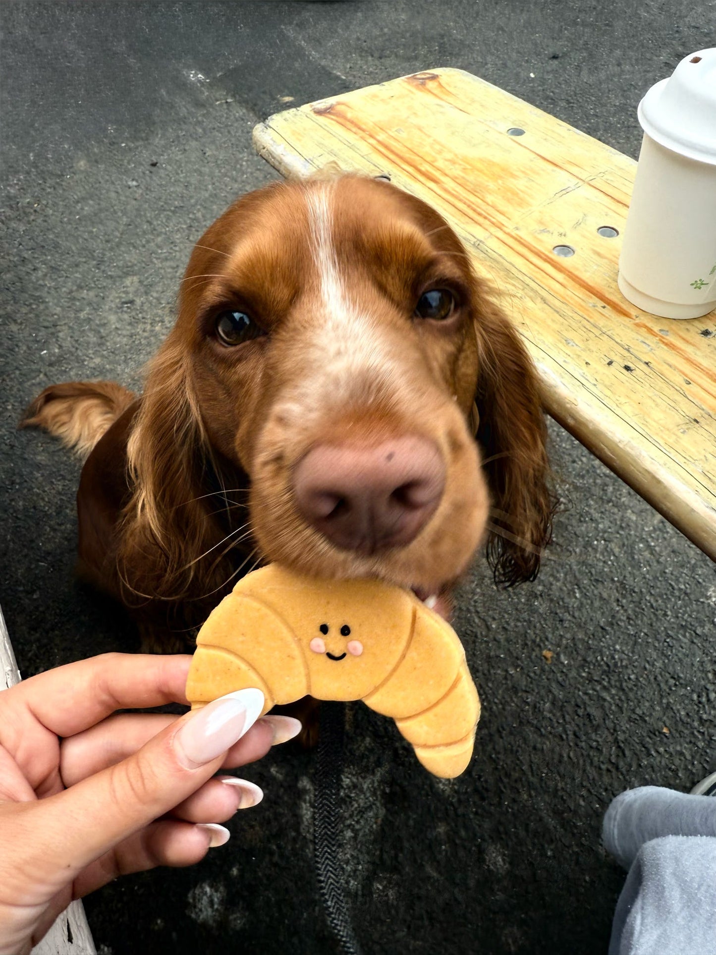 Cheerful Croissant x4