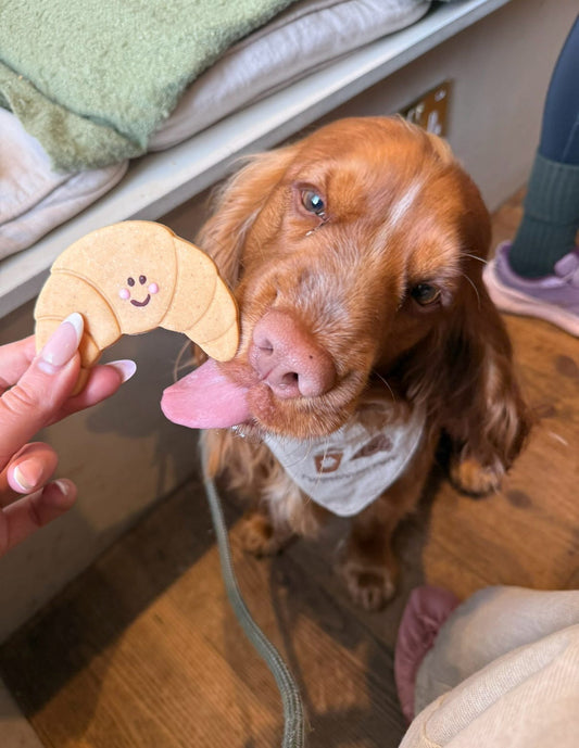 Cheerful Croissant x4